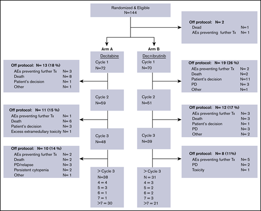 CONSORT study diagram. Arm A = 10-day decitabine; arm B = 10-day decitabine plus ibrutinib. PD, progressive disease; Tx, treatment.