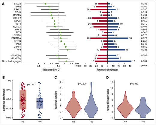 Associations between molecular and cytogenetic abnormalities (with prevalence ≥10) and response. (A) The association between individual frequently mutated genes (≥10 times) and frequently observed cytogenetic abnormalities (≥10 times) and response (CR/CRi) after 3 cycles. Odds ratios are displayed on a log10 scale, with lines extending to the 95% CI. Horizontal bars indicate the proportion with a mutation in the respective gene for patients with (blue) and without (red) response, with absolute numbers given for each gene. Data on molecular abnormalities were available for 140 individuals, whereas cytogenetic abnormalities were assessed in a subset of 114 individuals with identified cytogenetic abnormalities. P values are derived from Fisher’s exact test. The association between response (CR/CRi) within 3 cycles and highest variant allele frequency (VAF) per individual (B), number of mutations per individual (C), and number of mutated genes per individual (D). P values are from Wilcoxon signed-rank test.