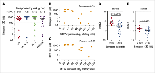 TNFR2 predicts SM sensitivity. (A) Sensitivity of primary ALL samples in different risk categories, according to risk stratification in the AIEOP-BFM 2000 study, to birinapant. Numbers are cases with IC50 < 100 nM and the total analyzed cases. TNFR2 (TNFRRSF1B) expression20 from 17 primary samples correlated with the response (IC50) to birinapant (B) and LCL161 (C). TNFR2 (D) and TNFR1 (E) expression by quantitative real-time PCR from 12 responsive PDX samples (birinapant IC50 ≤ 100 nM) and 22 nonresponsive PDX samples (birinapant IC50 > 100 nM). MR/HR, medium risk/high risk; SR, standard risk; VHR, very high risk.