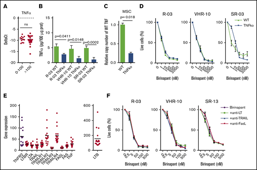 TNF-α is not required for birinapant response. (A) TNF-α expression by quantitative real-time PCR from 12 responsive PDX samples (birinapant IC50 ≤ 100 nM) and 22 nonresponsive PDX samples (birinapant IC50 > 100 nM). (B) Quantification of TNF-α by ELISA from cell lysates in WT and CRISPR-generated TNFko PDXs (3 independent experiments performed in duplicates). (C) Validation of TNFko MSCs by copy number variant quantitative PCR (2 experiments performed in triplicates). (D) Birinapant response curves for WT and TNFko PDX cells cocultured with TNFko MSCs (3 independent experiments performed in triplicates). (E) Gene expression of death receptor ligands and receptors for 17 primary B-ALL samples. (F) Birinapant response curves for PDX samples treated with neutralizing antibodies against lymphotoxin (LT; 0.5 μg/ml), TRAIL (10 ng/mL), and FasL (10 ng/mL) (3 independent experiments performed in triplicates). All quantifications are mean ± SEM. R, relapse.