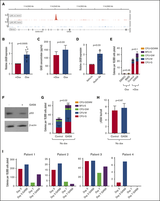 GAS6 is a p53 target in HPCs. (A) p53 wild-type (wt) or knockout (KO) K562 cells were treated with hemin to induce erythroid differentiation for 4 days, at which time chromatin immunoprecipitation for p53 was performed, with peaks at the human GAS6 locus shown. (B) FANCA-expressing or deficient HPCs generated by EHT in the presence of absence of doxycycline, respectively, were collected, and expression of GAS6 was analyzed by quantitative PCR (n = 6 biologic replicates results). (C) Conditioned culture supernatant of day 8 EHT cells was used for ELISA measurement of GAS6 protein (n = 13 biologic replicates compiled over 2 independent ELISA experiments). (D) FANCA-expressing HPCs were treated with or without nutlin-3a and expression of GAS6 measured by quantitative PCR (n = 3 biologic replicates results presented as mean ± SEM and compared by a Student t test with P value shown). (E) The indicated cells were treated either with BMS-777607 or GAS6 during EHT and then used in a colony formation assay (n = 7 biologic replicates over 3 experiments). (F) p53-repaired K562 cells were cultured serum free for 24 hours during which time they were treated with GAS6, and protein was collected for western blot analysis. (G) FANCA-deficient HPCs generated in the absence of doxycycline either in the presence of absence of recombinant GAS6 were harvested at day 5 of EHT and plated in methylcellulose medium, where colony formation was quantified after 14 days (n = 9 biologic replicates including 3 cell lines over 5 independent experiments). (H) Day 8 EHT cells generated without doxycycline and with or without GAS6 were exposed to mitomycin C and γH2AX-positive foci per cell quantified (n = 3 cell lines included and pooled in the overall analysis). (I) Primary FA patient bone marrow mononuclear cells were treated with or without GAS6 for either 3 or 7 days and then used in a colony formation assay, where colonies were quantified at day 14. All results presented as mean ± SEM and compared by a Student t test with P value shown.