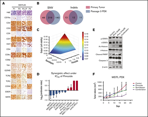 The synergistic effect of pimozide and romidepsin on a well-characterized MEITL PDX model. (A) Hematoxylin and eosin and immunohistochemical staining of subcutaneous MEITL PDX (P1, P3, and P6) and orthotopic (P3_IP) PDX tumors. (B) Venn diagrams of overlapping single-nucleotide variations (SNV, left) and indels (right) in a primary tumor (red) and a passage 3 subcutaneous tumor (blue). (C) Parabolic response surface maps of pimozide and romidepsin. (D) The combination index of romidepsin with the 20% inhibitory concentration (IC20) of pimozide. ALCL, anaplastic large-cell lymphoma; ATL, acute T-cell leukemia. Data are means ± standard deviation of 3 independent biological replicates. (E) Immunoblots of indicated proteins in MEITL tumor cells treated with control (dimethyl sulfoxide), pimozide, romidepsin, and combination of the 2 drugs for 48 hours at the indicated concentrations. The experiments were repeated at least 3 times. (F) The MIETL PDX tumor growth curves. Treatment with 25 mg/kg pimozide combined with 1 mg/kg romidepsin significantly decreased tumor growth compared with pimozide or romidepsin alone or the vehicle control (n = 3). Error bars indicate standard error of the mean. *P < .05.