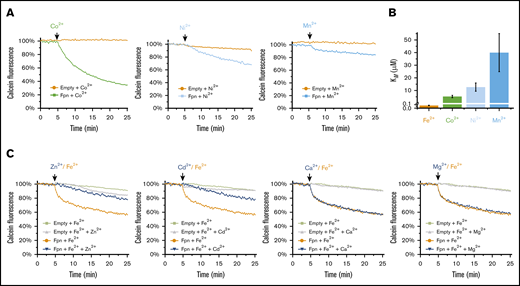 Human ferroportin preferably transports Fe2+over other divalent metal ions. (A) Transport activity of Co2+, Ni2+, and Mn2+ using the calcein-based assay (as in Figure 1). Addition of these divalent metal ions is indicated above the curves. All metal ions are provided at the concentration of 100 μM. (B) Comparison of the apparent KM of ferroportin-mediated transport of different metal ions, with the y-axis break at 0.1 μM. (C) Competition of other divalent ions (Zn2+, Cd2+, Ca2+, and Mg2+) against Fe2+ transport. Fe2+ and the competing metal ions are provided at the concentrations of 10 μM and 100 μM, respectively.