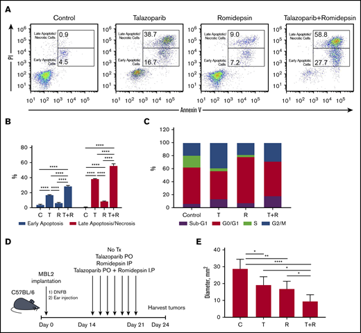 Proapoptotic synergistic effect of combination of talazoparib with romidepsin in vitro and in vivo. (A) Flow cytometry-based analysis of early (Annexin V+PI−) and late (Annexin V+PI+) apoptosis in MBL2 cells treated with talazoparib alone, romidepsin alone, or talazoparib with romidepsin. (B) Analysis of early and later apoptosis in flow cytometry–based assay (Annexin V and PI) in MBL2 cells treated with talazoparib (T) alone, romidepsin (R) alone, or talazoparib with romidepsin (T+R). ***P < .001, ****P < .0001. (C) Analysis of cell cycle arrest with Click-iT EdU with FxCycle Violet Ready Assay. MBL2 cells treated with talazoparib alone (T), romidepsin (R), or a combination of talazoparib with romidepsin (T+R). (D) The outline of the experiment. (E) The effect of combination of talazoparib and romidepsin on the diameter of regional lymph nodes 24 days after treatment. *P < .05, **P < .01, ****P < .0001. C, control.