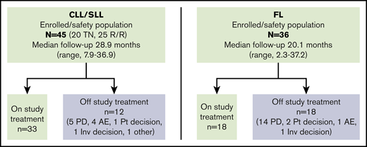 Patient disposition. PD, progressive disease; Pt, patient; TN, treatment naïve.