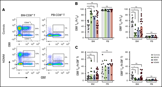 Tissue distribution of CD69−TTEand CD69+TTEcells in controls and MGUS, SMM, and NDMM patients. (A) Representative dot plots gated for CD8+T cells show distribution of CD69+TTE and CD69−TTE cells in the BM and PB of controls and NDMM patients. Regions occupied by CD69+TTE and CD69−TTE cells are indicated. Numbers indicate proportions of CD69+TTE and CD69−TTE cells within BM-CD8+T and PB-CD8+T cells. Bars (median with scatter plots) show proportions of CD69−TTE and CD69+TTE cells within TTE (B) and CD8+T (C) cells in the BM of controls (n = 13), MGUS patients (n = 10), SMM patients (n = 5), and NDMM patients (n = 19) and PB of controls (n = 13), MGUS patients (n = 7), SMM patients (n = 6), and NDMM patients (n = 8). *P < .05; **P < .01; Kruskal-Wallis test with Dunn’s multiple comparisons. ns, not significant.