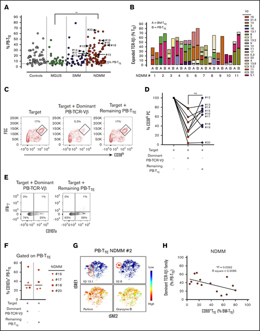 Distribution and function of oligoclonal expanded PB TTEcells. (A) Scatter plots of oligoclonal expansion of TCR-Vβ family–expressing populations within PB-TTE cells of controls (n = 26), MGUS patients (n = 13), SMM patients (n = 10), and NDMM patients (n = 36). Expanded TCR-Vβ family–expressing populations were defined when the percentage of TTE cells expressing that TCR-Vβ family was >3 SD higher than the mean frequency within CD8+TN compartment of healthy blood donors (see “Materials and methods”). Each dot represents the percentage of PB-TTE cells with an individual TCR-Vβ family expansion, with multiple expansions shown for each subject (average 3 expanded TCR-Vβ families per subject). The arrows indicate selected dominant TCR-Vβ family expansions that were tested for capacity to kill autologous CD38hiPCs (n = 9; #12 to #20; see below, panel D). (B) Oligoclonal expansion of TCR-Vβ family–expressing populations in paired BM-TTE and PB-TTE of NDMM patients (n = 11, #1 to #11). Each colored segment in a stacked vertical bar indicates the proportion of an individual oligoclonal expansion within total BM-TTE and PB-TTE compartment. (C) Dot plots gated for CD3−CD14− cells show CD38hiPCs after a 2-hour culture assay with the target (CD3+T-cell-depleted BM MNCs) alone, the target with flow-sorted autologous oligoclonal expanded PB-TTE cells expressing the subject’s dominant TCR-Vβ family, or the target with flow-sorted autologous PB-TTE cells not expressing the dominant TCR-Vβ family (remaining PB-TTE cells). Boxes and numbers indicate the percentage of CD38hiPCs recovered in each culture condition. FSC, forward scatter. (D) Graph shows percentage of CD38hiPCs recovered in culture with PB-TTE cells expressing dominant TCR-Vβ family or with remaining PB-TTE cells, normalized to the percentage of CD38hiPCs recovered in culture with target only. The dominant TCR-Vβ family expansion from each of 9 tested patients (NDMM, #12-13,#15-20; SMM, #14) is indicated by an arrow in Figure 3A. (E) Dot plots show cell surface CD107a and intracellular IFN-γ expression. (F) Graph shows proportions of CD107a+TTE cells (n = 4) in PB-TTE cells expressing dominant TCR-Vβ family and remaining PB-TTE cells after a 2-hour culture assay with target. (G) tSNE plots show distribution of Vβ13.1 and Vβ8 family–expressing PB-TTE cells (top, indicated by red dotted circles) with high perforin and granzyme B expression (bottom) within PB-TTE cells of NDMM #2. (H) Relationship between paired proportion of PB-TTE cells expressing dominant TCR-Vβ family (presented as percentage of PB-TTE cells) and CD69+TTE cells (presented as percentage of BM-TTE cells) in NDMM patients (n = 14) analyzed by linear regression model. *P < .05; **P < .01.