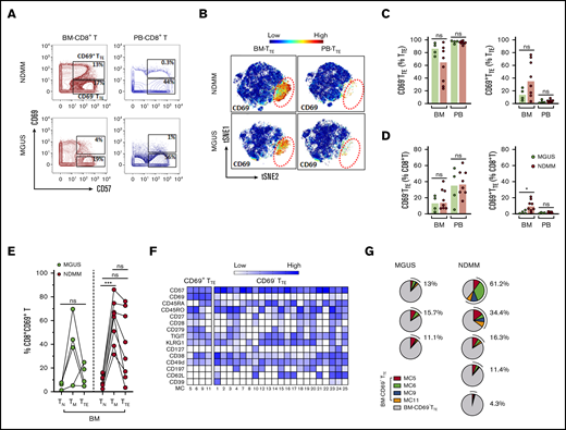Mass cytometric analysis of TTEcells in MGUS and NDMM patients. (A) Biaxial contour plots gated for CD8+T cells show distribution of CD69+TTE and CD69−TTE cells in NDMM and MGUS patients. Regions occupied by CD69+TTE and CD69−TTE cells are indicated. Numbers indicate proportions of CD69+TTE and CD69−TTE cells within BM-CD8+T and PB-CD8+T cells of NDMM and MGUS patients. (B) tSNE plots show distribution of CD69−TTE and CD69+TTE cells within pooled BM-TTE and PB-TTE cells of NDMM patients (n = 5, shown in Figure 4A) and MGUS patients (n = 3). The area occupied by CD69+TTE cells is indicated by the red dotted circle. Bars (median with scatter plots) show proportions of CD69−TTE and CD69+TTE cells within TTE (C) and CD8+T (D) cells in the BM and PB of NDMM (n = 8) and MGUS (n = 4) patients. *P < .05. (E) Graph shows proportion of CD69+ cells within the TN, TM, and TTE compartments in the BM of MGUS (n = 4) and NDMM (n = 8) patients. TN, TM, and TTE cells from the same patient are connected by lines. ***P < .001; Friedman test with Dunn’s multiple comparators. (F) Heat map showing the phenotype of the 25 MCs defined by FlowSOM analysis of TTE cells. MC5, MC6, MC9, and MC11 contain CD69+TTE cells, and CD69−TTE cells are distributed within the remaining 21 MCs. The intensity of the color in each cell indicates the median signal intensity for an individual marker (row) in an individual MC (column). (G) Pie charts show the contribution of CD69+TTE cells assigned to MC5, MC6, MC9, and MC11 to the BM-TTE cells in NDMM (n = 5) and MGUS (n = 3) patients. Numbers indicate total CD69+TTE cells within MC5, MC6, MC9, and MC11 in each patient, expressed as a percentage of total BM-TTE cells.