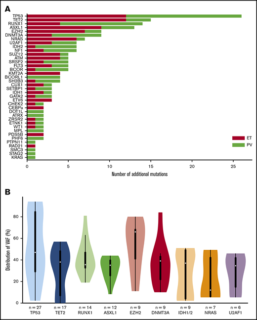 Genes mutated at the time of leukemic evolution of MPNs. (A) The total number of mutations is represented. Mutations in post-PV AML are in red, and those in post-ET AML are in green. (B) Violin plots of the VAF distribution of genes with more than 6 mutations. IDH1 and IDH2 have been summed for this figure.