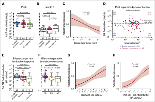 CAR T-cell expansion commensurate with baseline TB is associated with durable responses after axi-cel. Analysis of peak (A) and 3-month CAR T-cell expansion (B) by response status. (C) The association of baseline tumor and probability of durable response was assessed by logistic regression. (D) Scatter plot of baseline TB and peak CAR T-cell levels. (E-F) Analysis of peak CAR T-cell levels normalized to TB by response status. Logistic regression analysis evaluating the association of durable response with peak CAR T-cell levels (G) and peak CAR T-cell levels (H) normalized to TB. P values were calculated using Kruskal-Wallis and Dunn’s tests. CR, complete response; NR, no response; PR partial response.