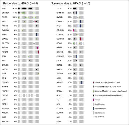 Detail of all more frequent mutations found on targeted sequence IMPACT heme panel performed at time of relapse/refractoriness in 28 patients receiving HDACi.