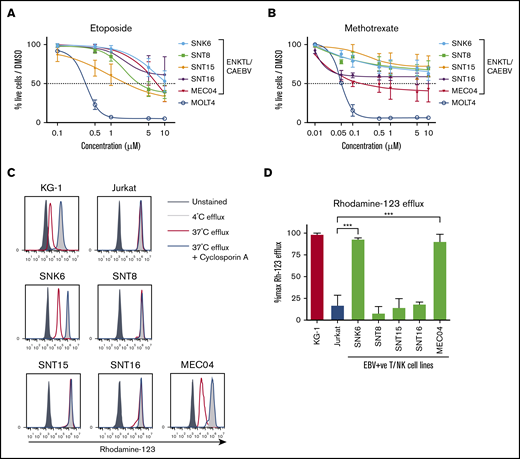 Resistance to common chemotherapeutic drugs in ENKTL and CAEBV cell lines is not only due to P-glycoprotein–mediated drug efflux. Dose-response curves generated from annexin V/propidium iodide (PI) staining assays following 48-hour treatment with etoposide (A) or methotrexate (B) at the indicated concentrations. (C) The functionality of P-gp was assessed by the efflux of fluorescent rh-123 using flow cytometry. Cells were either left unstained or stained with rh-123 (black, filled histogram), stained with subsequent incubation at 4°C (gray, filled histogram), stained with subsequent incubation at 37°C (red, open histogram) or stained with subsequent incubation at 37°C in the presence of the P-gp inhibitor, CsA (blue, open histogram). (D) Rh-123 efflux was quantified using the following formula: (MFIred × 100) / (MFIgray − MFIblack). KG-1 cells (positive control) and Jurkat cells (negative control) were included in the experiments due to their reported high P-gp expression and lack of P-gp expression, respectively. Data are presented as means ± standard deviation (SD) of 3 independent experiments, each performed in triplicate (n = 3). ***P < .0001, vs Jurkat. CsA, cyclosporin A; MFI, median fluorescence intensity; P-gp, P-glycoprotein.