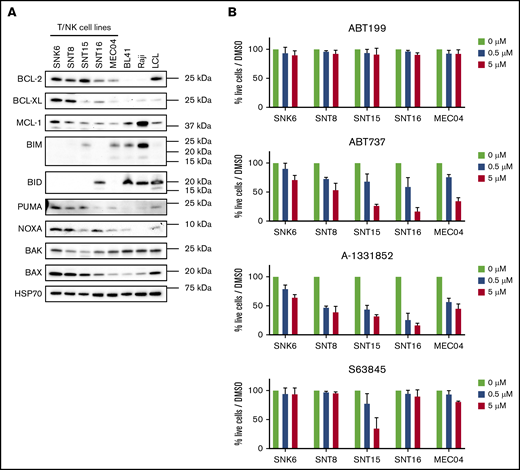 BH3-mimetic drugs targeting BCL-XL induce cell death in ENKTL and CAEBV cell lines. (A) Expression levels of cellular BCL-2, BCL-XL, MCL-1, BIM, PUMA, NOXA, BAK, and BAX were detected by western blot analysis. Probing for HSP70 was used as a protein loading control. The Burkitt lymphoma–derived cell lines, BL41 and Raji, and LCL were used as controls. Representative blots are shown. (B) Cells were treated for 48 hours with 0.5 µM or 5 µM of the indicated BH3-mimetic drugs ABT-199 (BCL-2 specific), ABT-737 (inhibits BCL-2, BCL-XL, and BCL-W), A-1331852 (BCL-XL specific), or S63845 (MCL-1 specific). Cells were then stained with annexin V and PI and their viability quantitated by flow cytometry. Data shown are normalized to DMSO-treated control cells and presented as mean ± SD of 3 independent experiments.