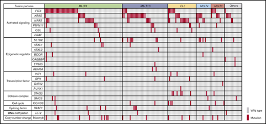 Mutational landscape of MLL-r AML. Distribution of driver mutations in patients with MLL-r AML (n = 160), according to MLL fusion partner.