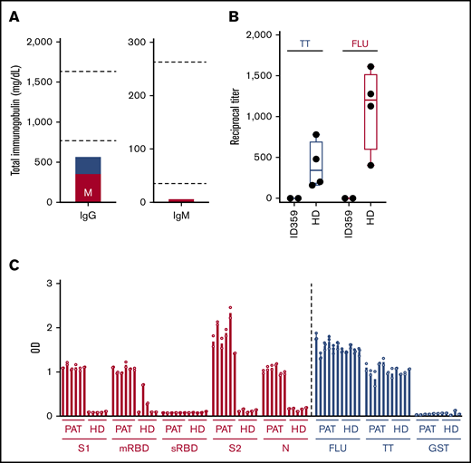 Compromised antiviral immunity in an MM patient with hypogammaglobulinemia. (A) Total IgG and IgM levels of patient ID359 on the day of COVID-19 diagnosis, as determined by immunoelectrophoresis. M indicates the level of total monoclonal protein in the γ region, and dotted lines indicate the reference range. (B) Reciprocal IgG titers against tetanus toxoid (TT; Millipore-Sigma, cat. no. 582231) and influenza H1N1 nucleoprotein (FLU; Sino Biological, cat. no. 11675-V08B) in patient ID359 plasma at COVID-19 diagnosis, as well as in 4 healthy donors (HD), as determined by ELISA. (C) IgG responses, expressed as optical density (OD) readings, of 6 COVID-19 patients (PAT) and 5 healthy donors (HD) against SARS-CoV-2 proteins S1 (ACROBiosystems; cat. no. S1N-C52H3), S2 (expressed in Expi293 cells), and N (BioVision; cat. no. P1523-50), the S1 RBD expressed in mammalian cells (mRBD; RayBiotech; cat. no. 230-30162) or produced synthetically (sRBD; LifeTein), positive-control proteins TT and FLU, and negative-control glutathione-S-transferase (GST; expressed in Expi293 cells), as determined by ELISA. Data represent the mean, and circles indicate technical replicates.