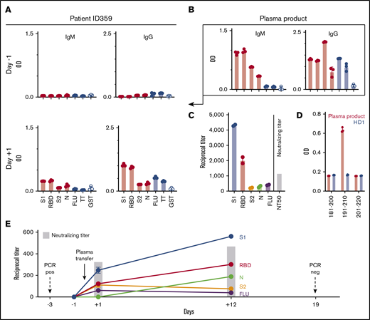 Transfer of SARS-CoV-2–specific immunity to MM patient by convalescent plasma infusion and subsequent viral clearance. (A) IgM and IgG antibody responses in patient ID359 plasma against SARS-CoV-2 proteins and control proteins at 1:20 serum dilution before and after convalescent plasma infusion, as determined by ELISA. (B) IgM and IgG responses at 1:20 plasma dilution against SARS-CoV-2 and control proteins in convalescent plasma product, as determined by ELISA. (C) Reciprocal IgG antibody titers against SARS-CoV-2 and control proteins and neutralizing antibody titers in the convalescent plasma product. (D) Epitope mapping of convalescent plasma product and plasma from a healthy donor (HD1) using synthetic S1 peptides, as determined by ELISA. 20mer peptides overlapping by 10 aa for SARS-CoV-2 S1, S2, M, and E sequences were synthetized (peptides & elephants, Hennigsdorf, Germany). Data represent the mean, and circles indicate technical replicates. (E) Reciprocal IgG titers against SARS-CoV-2 proteins and FLU, as well as neutralizing antibody activity in patient ID359 plasma, before and after convalescent plasma infusion. Antibody titers represent mean ± standard deviation from 2 technical replicates. GST, glutathione-S-transferase; neg, negative.