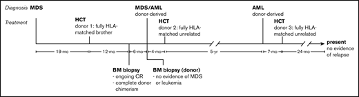Timeline of diagnosis and treatment. The patient was initially diagnosed with MDS and subsequently donor-derived MDS/AML and donor-derived AML after allo-HCT from 2 different donors. She is currently 24 months after allo-HCT from a third donor and shows no evidence of disease. CR, complete response.