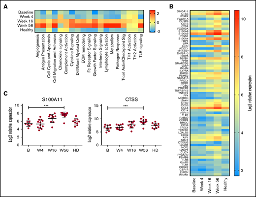 Myeloid inflammation–associated pathways are upregulated with long-term treatment. PBMCs at baseline (B; n = 10), week 4 (W4; n = 11), week 16 (W16; n = 11), and week 56 (W56; n = 12) plus age-matched healthy controls (n = 9) were analyzed using NanoString Myeloid Inflammation Panel. (A) Pathway signature scores determined using NanoString Advanced Analysis Module. (B) Expression of genes at all time points analyzed that showed a statistically significant (P < .05) change in expression between B and W56 listed from most to least significant. (C) Expression profile of S100A11 and CTSS. P values from a Kruskal-Wallis test Dunn’s multiple comparisons to B. ***P < .001.