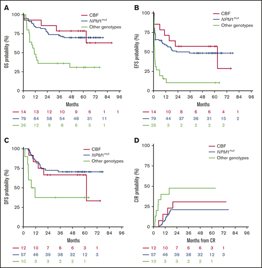 Survival outcomes, according to CBF rearrangements (n = 20 patients), NPM1mut(n = 79 patients), and other genotypes (n = 26 patients). Other genotypes includes patients with intermediate (n = 11) and adverse karyotypes (n = 15 patients). OS (A), EFS (B), DFS (C), CIR (D).
