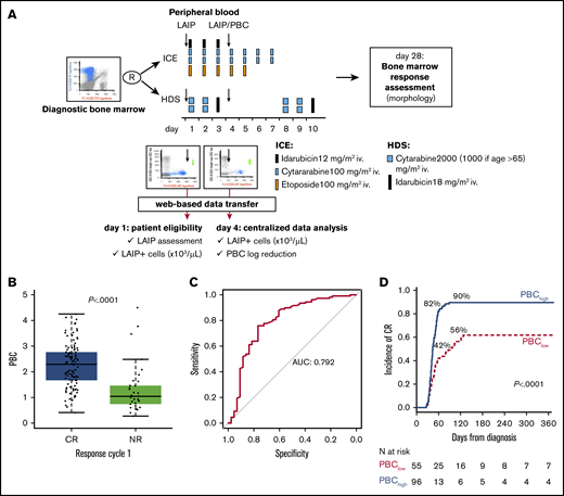 Overall design of PBC study and correlation with response to induction. (A) Design of the study of PBC within NILG AML trial 02/06. The trial provided a randomization (R) between standard (ICE) and intensified (HDS) induction chemotherapy. Along treatment, on day 1 and day 4, cells bearing a previously identified aberrant immune-phenotype (LAIP) were quantified by multiparameter flow cytometry, and files were transmitted to the Coordinating Center for central analysis of data and PBC calculation. (B) Box plots show the distribution of PBC values according to response to first cycle. (C) ROC curve methodology allowed setting 1.5 logs as the best cutoff at separating patients with significantly different outcomes. For this threshold, the area under the curve (AUC) was 0.792. (D) Time to achievement of CR according to PBC category (<1.5 log or ≥1.5 log).