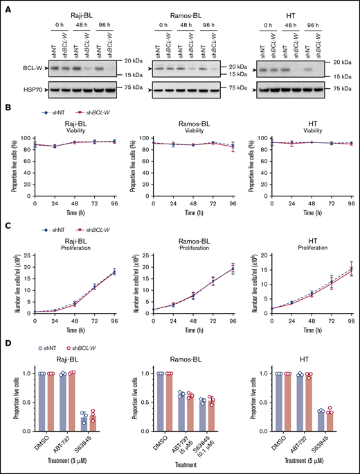 shRNA-mediated knockdown of BCL-W expression does not induce apoptosis of B-lymphoma cells and does not sensitize them to BH3-mimetic drugs targeting other prosurvival BCL-2 proteins. (A) shRNA knockdown of BCL-W was confirmed by western blotting in cell lines containing nontargeting control (shNT) and BCL-W–targeting (shBCL-W) shRNAs. Probing for HSP70 was used as a loading control. (B) Cell viability following doxycycline induction of shNT or shBCL-W expression over 96 hours. Cell viability was measured by the proportion of cells that were Annexin V and DAPI double-negative by flow cytometry. Error bars represent the SD for 3 independent experiments. (C) Cell proliferation following doxycycline induction of shNT or shBCL-W expression over 96 hours. Error bars represent the SD for 3 independent experiments. (D) Viability of BCL-W knockdown (shBCL-W) and control (shNT) cells following treatment with the indicated doses of BH3-mimetic drugs for 24 hours: S63845 (MCL-1 inhibitor), ABT-737 (BCL-2/BCL-XL/BCL-W inhibitor). Experiments were performed on cells following 72 hours of shRNA induction. Cell viability was measured by the proportion of cells that were Annexin V and DAPI double-negative by flow cytometry, and results were normalized to a DMSO-treated control sample. Knockdown of BCL-W did not sensitize any cell lines to ABT-737 or S63845 (Student t test, P > .05 for all). Error bars represent the SD for 3 independent experiments.