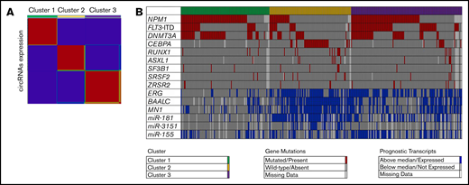 Unsupervised clustering of CN-AML patients based on expression of circRNAs. (A) Heatmap of circRNA expression in the 3 distinct circRNA expression–based clusters. Red indicates high and blue low expression. (B) Distribution of prognostic molecular features (ie, gene mutations, gene expression, and miR expression) across the 3 distinct circRNA expression–based clusters of younger adult patients with CN-AML.