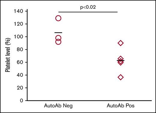 Autoantibodies cause platelet clearance. Individual “end-of-study” plasma samples from selected mice were injected IV into individual syngeneic mice. Platelet counts measured 24 hours after injection were compared to preinjection counts and are expressed as a percentage of the preinjection count. Platelet levels in mice injected with plasma samples with no detectable autoantibodies (○) remained unaffected. Platelet levels in mice injected with plasma samples containing autoantibodies and associated with thrombocytopenia (♢) decreased significantly (P < .02). The bars depict the average of all animals in the group.