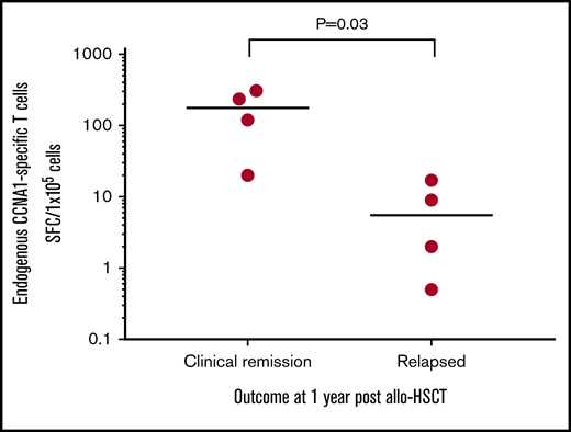Endogenous CCNA1-specific T cells detected in AML patients who remain in clinical remission posttransplant. CCNA1-specific T-cell responses detected in PBMCs (by IFN-γ ELISpot) isolated from patients with AML who received allo-HSCT (n = 8). Results are presented as SFC/1 × 105.