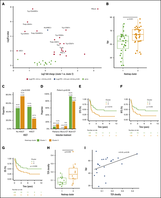 Clinicoimmunologic analysis of major AML immune profiles. (A) The proportion of immune cells and their single-marker immunophenotypes in AML patients (n = 69) in clusters 1 and 2 were compared (Mann-Whitney U test), P values corrected (Benjamini-Hochberg procedure), and results plotted on a volcano plot. Immunologic features with log2 fold change (FC) >0 are enriched in cluster 1 and features with log2 fold change <0 are more frequent in cluster 2. Age (Mann-Whitney U test) (B), allo-HSCT (χ2 test) (C), and induction treatment frequency (Fisher’s exact test) (D) distributions of patients in clusters 1 and 2 were compared. The survival of patients in clusters 1 and 2 who were intensively treated (HD-cytarabine–based induction treatment; n = 59) were compared (Cox regression, log-rank test) using EFS (E), relapse-free survival (RFS) (F), and overall survival (OS) (G) as an end point. TCR clonality was compared between patients in cluster 1 and cluster 2 (Mann-Whitney U test) (G) and correlated with patient age (Spearman correlation) (I).