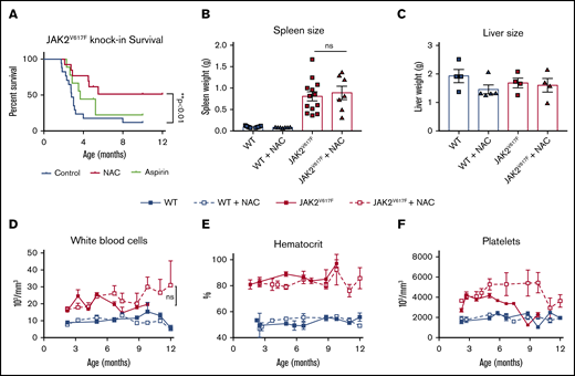 NAC extends the lifespan in a JAK2V617Fknockin mouse model of MPN. (A) Kaplan-Meyer survival curve representing JAK2V617F mice whose drinking water contained NAC (2 g/L) or aspirin (16 mg/L), **P < .01 log-rank test. Spleen (B) and liver (C) weights at euthanasia or death. (D-F) Peripheral blood counts, including white blood cell count (D), hematocrit (E), and platelet count (F), in WT or JAK2V617F mice treated with plain water or NAC-containing water. Error bars represent standard error of the mean (SEM); n = 6-12 per group. Shown are representative data from 2 biological replicates. ns, not significant.