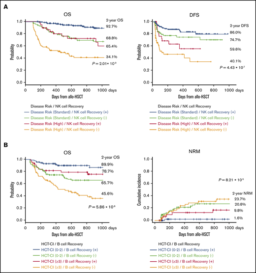 Survival curves after allogeneic HSCT. (A) OS and DFS were significantly better with rapid NK cell recovery. (B) Early IR of CD20+ B cells yielded longer OS and NRM even in patients with higher HCT-CI (≥3).