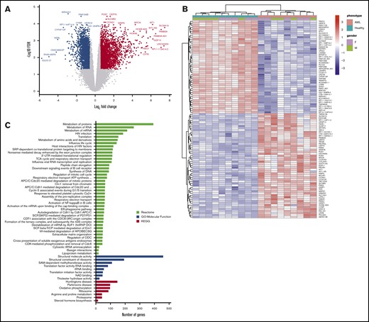 RNA-sequencing of whole BM aspirate cells from patients with AML compared with healthy control subjects. (A) A volcano plot illustrating differentially regulated gene expression in patients with AML (n = 10) compared with healthy control subjects (n = 10). RNA-sequencing analysis revealed a total of 2630 genes upregulated (red) and 2177 genes downregulated (blue) (FC ≥1.5; FDR ≤0.05). The FC (in log2 scale) of the transcript abundance is plotted on the x-axis and the statistical significance expressed as -log10(FDR) on the y-axis. Genes not classified as differentially expressed are plotted in gray. (B) Heatmap of unsupervised hierarchical clustering indicates the top 100 differentially expressed genes ranked based on FDR between patients with AML and healthy control subjects, with high levels of expression shown in red and low levels shown in blue. Color coding is based on standardized and normalized read counts accounting for the library size. (C) GSEA of upregulated genes for Reactome and KEGG pathways, as well as their GO annotation for molecular function terms, reveals the pathways that were significantly altered in patients with AML (FDR ≤ 0.05). ATP, adenosine triphosphate; ER, endoplasmic reticulum; mRNA, messenger RNA; rRNA, ribosomal RNA; UTR, untranslated region.