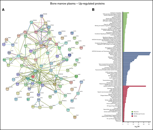Physical and functional interaction network of upregulated proteins in the BM microenvironment of patients with AML. (A) STRING 11.0 (Search Tool for the Retrieval of Interacting Genes) was used to visualize the predicted PPIs for the upregulated proteins identified by SOMAscan assay in the AML BM microenvironment compared with healthy controls (https://string-db.org/). Network nodes represent proteins and the lines reflect physical and/or functional interactions of proteins. Empty nodes represent the proteins of unknown three-dimensional structure, and filled nodes represent the proteins with some three-dimensional structure known or predicted. Different colored lines between the proteins represent the various types of interaction evidence in STRING (databases, experiments, neighborhood, gene fusion, cooccurrence, text mining, coexpression, and homology). (B) Upregulated proteins were subjected to enrichment analyses for KEGG and Reactome pathways as well as GO annotation for “Molecular Function” terms using STRING 11.0 tool. Graph indicates the top 29 significantly enriched GO-Molecular Function terms ranked based on -Log10(FDR) ≥3. For all other analysis, FDR ≤0.05 was used as the threshold value, and the number of proteins enriched in each pathway was ≥2. The full list of enriched pathways and terms with associated FDRs is given in supplemental Table 9.