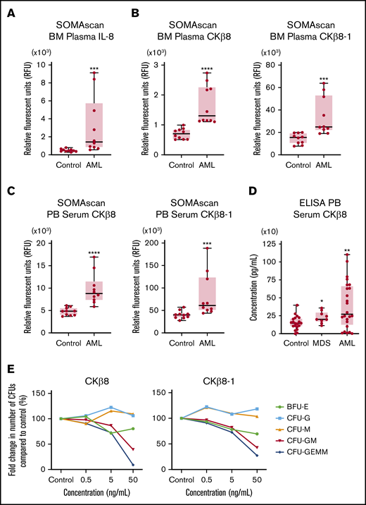 SOMAscan proteomic analysis identifies significantly elevated levels of IL-8 and MPIF-1 isoforms in the BM plasma and PB serum samples of patients with AML. (A) Boxplot shows the relative abundance of IL-8 displayed in relative fluorescence units (RFUs) in the BM plasma samples from patients with AML (n = 10) vs healthy control subjects (n = 10) obtained using the SOMAscan platform. ***P = .0001, vs control using unpaired Mann-Whitney U test. (B) Boxplots show the levels of CKβ8 (left panel) and CKβ8-1 (right panel) isoforms in the BM plasma samples from patients with AML (n = 10) vs healthy control subjects (n = 10) obtained using the SOMAscan platform. ****P < .0001; ***P = .0003, vs control using unpaired Mann-Whitney U test. (C) Boxplots show the relative abundance of CKβ8 (left panel) and CKβ8-1 (right panel) isoforms in the PB serum samples from patients with AML (n = 10) vs healthy control subjects (n = 10) analyzed by using the SOMAscan platform. ****P < .0001; *** P = .0007, vs control using unpaired Mann-Whitney U test. (D) CKβ8 protein levels in the PB serum samples from patients with MDS (n = 9) and patients with AML (n = 24) vs healthy control subjects (n = 20) were analyzed by using ELISA. *P = .0436 for MDS group; **P = .0095 for AML group, vs control using unpaired Mann-Whitney U test. (E) Effect of CKβ8 and CKβ8-1 isoforms on colony formation by CD34+ progenitor cells. Results are given as the mean of 2 technical replicates. Significant reduction in CFU-GM and CFU-GEMM was observed when treated with either isoform at 50 ng/mL concentration. P < .05, vs control using a 2-tailed Student unpaired t test.