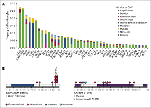 Frequently altered genes and novel driver genes. (A) Frequencies of recurrent mutations and copy number variations (CNVs) identified by targeted capture sequencing. Types of mutations and CNVs are indicated by color. Multiple: more than 1 mutation or mutation accompanied by CNV. (B) Positions and types of somatic mutations in novel driver genes.