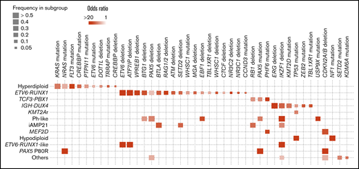 Positive correlations between genetic alterations with disease subgroups. Statistically significant pairwise relationships (q < 0.1) for cooccurrence between a genetic alteration and a disease subgroup. Color gradient indicates odds ratio, and size of boxes show frequency of affected samples in each subgroup.
