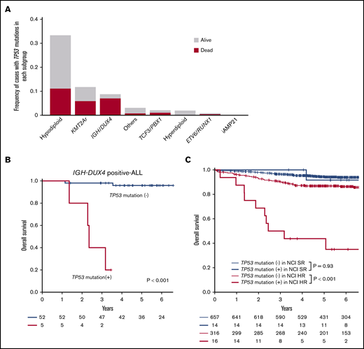 Prevalence and prognostic impact of TP53 mutations. (A) Frequencies of TP53 mutations in each subgroup. Outcomes are indicated by colors. (B) Kaplan-Meier curves of overall survival for individuals with and without TP53 mutations in IGH-DUX4 positive-ALL. (C) Kaplan-Meier curves of overall survival among patients with or without TP53 mutations stratified with NCI criteria.