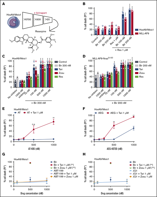 Clinical MDR1i enhance the efficacy of SM-based therapy in AML cells. (A) Approximately 5700 compounds were screened for their ability to synergize with birinapant and overcome resistance in murine HoxA9/Meis1 AML cells. Compounds that induced cell death in combination with birinapant, but not as single agents, were selected and their impact determined in a dose-response assay. (B) HoxA9/Meis1 and MLL-AF9 AML cells were treated with birinapant (Bir; 100 and 200 nM), with or without reserpine (Res; 1 µM), for 24 hours (n = 4-5). HoxA9/Meis1 (C) and MLL-AF9-NrasG12D (D) AML cells were treated with 10, 100, 500, and 1000 nM reserpine, tariquidar (Tari), or zosuquidar (Zosu), with or without Bir (200 nM), for 24 hours (n = 4). (E-F) HoxA9/Meis1 AML cells were treated with 125, 250, 500, and 1000 nM AT-406 (AT) (E) and AEG-40730 (AEG) (F), with or without Tari (1 µM), for 24 hours (n = 5). (G-H) HoxA9/Meis1 AML cells were treated with the peptide-mimetic agents ABT-199 (G) and JQ1 (H) at 100 and 1000 nM, with or without Tari or Zosu (1 μM), for 24 hours. Treatment with Bir (500 nM)+Tari and Zosu (1 µM) was used as a control (n = 4). Cell death was measured by flow cytometry analysis of PI uptake and decrease in cell volume (MLL-AF9-NrasG12D) in 3 or 4 individual tumors. Data are the mean ± SEM throughout. P values were obtained by comparison of SM alone and SM/MDR1i treatment at the indicated concentrations. *P < .05; **P < .01; ***P < .001; ****P < .0001. n.s. nonsignificant.