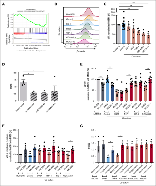AML inhibits osteogenesis through interference in WNT/β-catenin pathway. (A) GSEA enrichment plot of GO_WNT_ACTIVATED_RECEPTOR_ACTIVITY of bone marrow MSPCs from AML patients and controls (NES, −1.55; P = .021; false discovery rate q = 0.114). (B) Representative overlay histogram of cytoplasmic β-catenin fluorescence intensity in HuMSPCs after mono- or coculture with healthy PBMNCs (controls) or indicated AML cell lines. (C) Mean fluorescence intensity (MFI) of cytoplasmic β-catenin levels in HuMSPCs after mono- or coculture with the indicated cells, normalized to HuMSPCs (representative of 5 independent experiments). (D) Colorimetric detection of alizarin red staining using absorbance at 450 nm to quantify calcium deposition in SaOS2 cells transduced with either empty vector or different CTNNB1 short hairpin RNAs after 7 days of induction of mineralization (representative of 4 independent experiments). (E) Colorimetric detection of alizarin red staining using absorbance at 450 nm to quantify calcium deposition in HuMSPCs after 14 days of induction of mineralization in the presence of healthy PBMNCs or different AML cell lines with either 10 µM SKL2001 or dimethyl sulfoxide (DMSO) (representative of 8 independent experiments; result is normalized to HuMSPCs with DMSO). (F) MFI of cytoplasmic β-catenin levels in HuMSPCs after mono- or coculture in the presence of healthy PBMNCs or different AML cell lines with either 10 µM SKL2001 or DMSO (representative of 5 independent experiments; result is normalized to HuMSPCs with DMSO). (G) Colorimetric detection of alizarin red staining using absorbance at 450 nm to quantify calcium deposition in SaOS2 cells transduced with either empty vector or CTNNB1 overexpressing plasmids after 7 days of induction of mineralization in the presence of different AML cell lines (representative of 3 independent experiments). Data are shown as mean ± SEM. *P < .05; **P < .01; ***P < .001 (determined by unpaired Student t test).