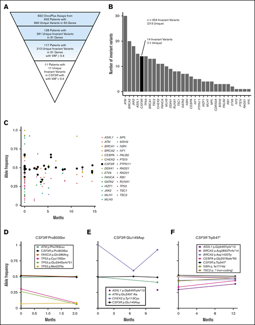 Discovery of CSF3R as a candidate germ line predisposition gene through the analysis of invariant variants on tumor-based NGS panels. (A) Pyramid chart showing the algorithm used to identify CSF3R as a candidate germ line hematologic malignancy predisposition gene. OncoPlus is a custom NGS panel of ∼1200 genes important in oncogenesis. Invariant variants are defined as variants present at consistent VAFs of about 50% in ≥2 OncoPlus tests conducted at different times from the same patient. (B) Histogram of the 31 genes found to have invariant variants with a VAF ≥0.4 in the 832 OncoPlus testing cohort displaying the number of such variants present within each of these genes. (C) Change in VAF across different testing time points for 33 genes found to be mutated among 632 patients who underwent OncoPlus testing. Time points were normalized to the date of each patient’s first test, set as time point 0 months. Variants in CSF3R remained at approximately the same VAF across multiple different testing time points. (D-F) Examples of variation in VAF across multiple testing time points for individual patients found to have variants in multiple different genes, including CSF3R. The CSF3R variants remained at a VAF of ∼0.5, whereas the VAFs of variants in most other genes fluctuated over time. p.Ala119Thr and p.Pro784Thr are not shown because the patients harboring these variants underwent a single OncoPlus test.