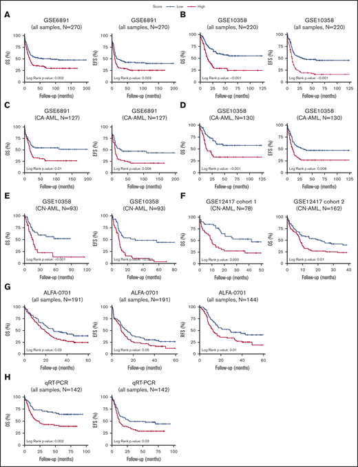 Patients with AML stratified based on high and low CODEG22 score. (A-B) OS and EFS of patients including all cytogenetic abnormalities from the GSE6891 (A) and the GSE10358 (B) data sets. (C-D) OS and EFS of patients with CA-AML from the GSE6891 (C) and GSE10358 (D) data sets. (E) OS and EFS of patients with CN-AML from the GSE10358 data set. (F) OS of all patients from CN-AML cohorts 1 and 2 available in the GSE12417 data set. (G) OS, EFS, and RFS of all patients from the ALFA-0701 cohort. (H) OS and EFS of patients with AML from the retrospective real-time qPCR (qRT-PCR) FILO cohort (n = 142). CODEG22 scores above and below the median in each cohort are labeled high (in red) and low score (in blue), respectively. A log-rank test was used to compare the survival curves of the high and low score subsets.