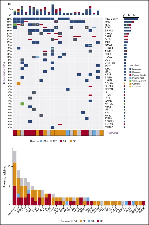 Genomic data from patient specimens at time of clinical trial enrollment. (A) Genomic profile of somatic mutations in baseline samples, as detected by next-generation sequencing data. Each column represents a patient (n = 24) and each row in the top panel represents a gene that carries at least 1 pathogenic or likely pathogenic mutation (n = 38). The upper bar plot indicates the number of somatic mutation(s) per patient, colored according to the type of the alteration, as described in the legend. The right bar plot shows the number of somatic mutations per gene. The frequency of mutations in the cohort is listed on the left border of the figure. The clinical response to treatment is displayed in the annotation bar at the lower axis of the figure according to the legend. (B) Distribution of mutations across all genes in the cohort. The bars are colored according to the proportion of patient’s response to the treatment. Color code: complete remission with incomplete hematologic recovery (blue); partial response (orange); no response (NR; red); response not evaluable (N/E; gray).