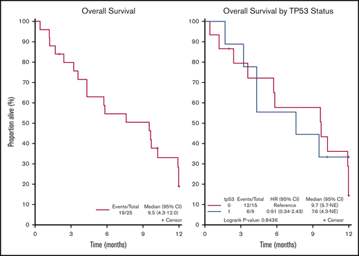 Survival analysis of MPN-AP/BP patients treated with combination decitabine and ruxolitinib. (A) OS from the time of study enrollment. The median OS for all patients on study was 9.5 (95% CI, 4.3-12.0) months. (B) OS by TP53 status. Median OS for TP53 mutated patients was 7.6 (95% CI, 4.3-NE) and 9.6 (95% CI, 3.6-NE) months in TP53 nonmutated patients (P = .78).