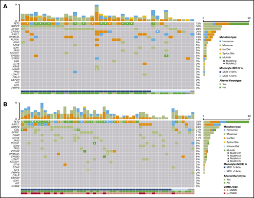 Mutational profile in patients with OM-CMML and CMML. Mutations were identified by NGS in 40 patients with OM-CMML (A) and in 53 patients with CMML (B). Results of the sequencing of the 25 genes are shown in the plot, where each column represents a patient and each row represents a gene. The number of mutations identified per patient is represented as columns in the top row. Genes are ordered from the most to the least frequently mutated, and frequencies for each gene are displayed (right), as well as the mutation type (nonsense, missense, insertion/deletion, splice site, or multihit). Patients with more than 1 mutation in the same gene are represented as shown in the key (2, 3, 4, or 5 mutations in the same gene). The immunophenotypic profile, assessed by the presence of MO1s upper 94%, is shown (bottom; MO1 >94%, blue, MO1 ≤94%, light blue, nonanalyzed, gray). Cytogenetic results are also displayed (bottom row; altered karyotype, lime green; normal karyotype, light green; nonanalyzed, gray). CMML types are also shown (bottom row: d-CMML, light red; p-CMML, red).