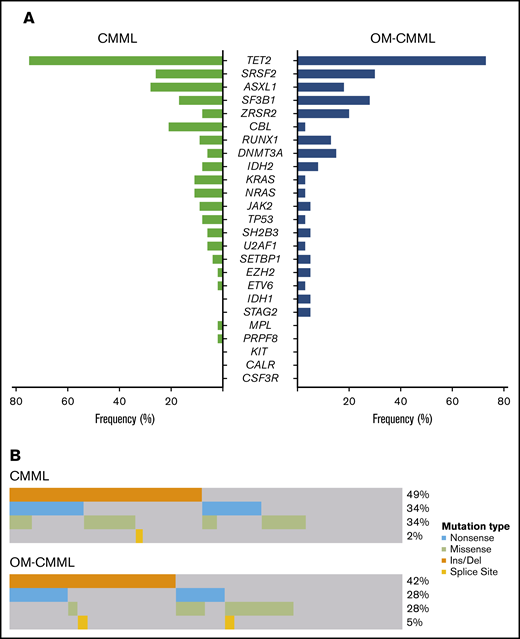 Distribution of mutated genes in CMML and OM-CMML. (A) Frequencies of the 25 genes analyzed by NGS in the CMML and OM-CMML groups. Genes are ordered from the most to the least frequently mutated, combining the CMML and OM-CMML cases. CBL was the only gene mutated at a significantly different frequency in the groups (2.5% vs 20.8%; OM-CMML vs CMML; P = .011). (B) The plot represents all the mutations identified in the TET2 gene classified by the type of alteration, with insertions or deletions of nucleotides (orange) being the most frequent mutations identified. Nonsense mutations, producing a stop codon in the sequence (light blue), and missense mutations, producing a change in 1 amino acid (lime green), were the second most commonly identified. The least common alterations in our cohort were splice site mutations (yellow). No significant differences were observed in the distribution of mutations in TET2 when both disease groups were compared.