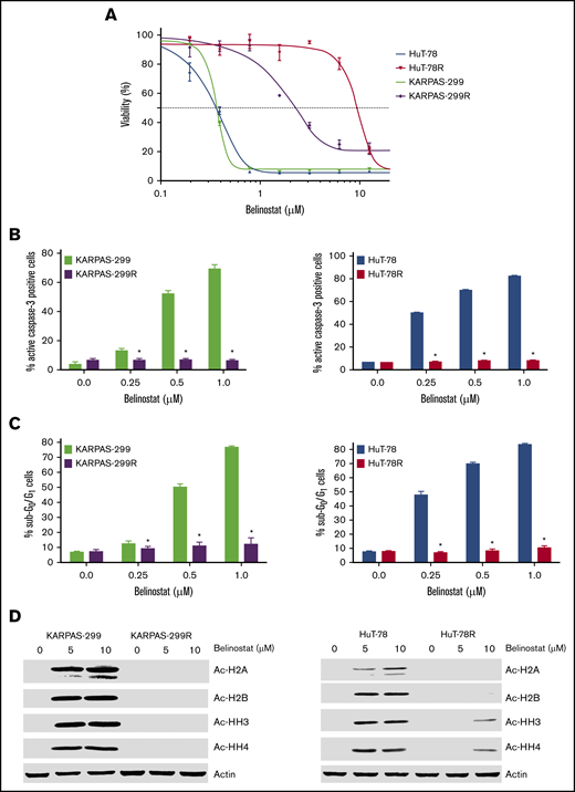 Belinostat-resistant TCL cells do not undergo apoptosis and exhibit reduced histone acetylation after belinostat treatment. (A) Generation of novel belinostat-resistant TCL models. HuT-78 and Karpas-299 parental and belinostat-resistant cells were treated with the indicated concentrations of belinostat for 72 hours. Cell viability was measured by 3-MTT assay. Data are shown as mean ± standard deviation (SD) (n = 3). (B-C) Measurement of apoptosis in TCL parental and belinostat-resistant cells. Induction of apoptosis was measured by active caspase-3 assay (B) and propidium iodide–fluorescence-activated cell sorting (PI-FACS) (C) analysis after treatment with the indicated concentrations of belinostat for 48 hours. Data are shown as mean ± SD (n = 3). *P < .05 indicates a significant difference from parental cells treated with the same concentration of belinostat. (D) Belinostat-resistant TCL cells display reduced histone acetylation after belinostat treatment. Acetylation of histones was measured in parental and resistant cells by immunoblotting after 24 hours of belinostat treatment.