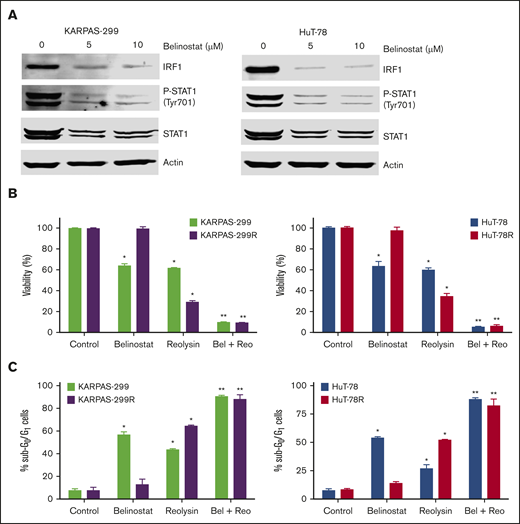 Belinostat decreases STAT1 and IRF1 expression and significantly enhances the antilymphoma activity of Reolysin. (A) Belinostat treatment decreases STAT1 and IRF1 expression. Parental TCL cells were treated with 5 and 10 μM belinostat for 24 hours. STAT1 and IRF1 expression were determined by immunoblotting. (B-C) Reolysin enhances the activity of belinostat in both parental and belinostat-resistant TCL cells. Cells were treated with 0.25 μM belinostat and 45 or 90 PFUs Reolysin per cell, respectively, for Karpas-299 and HuT-78 and the combination for 72 hours (B) or 48 hours (C). Cell viability was determined by MTT assay and apoptosis was measured by PI-FACS analysis. Data are shown as mean ± SD (n = 3). *P < .05 indicates a significant difference compared with Control or **P < .05 compared with either monotherapy.