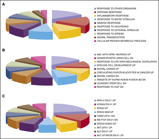 Gene Set Enrichment Analysis of genes differentially expressed in the 2 groups defined by the clinical response, CR vs NR. (A) Gene Ontology biological processes. (B) Curated gene sets. (C) Oncogenic signatures. The size of each group in the pie charts corresponds to the number of genes found in each category.
