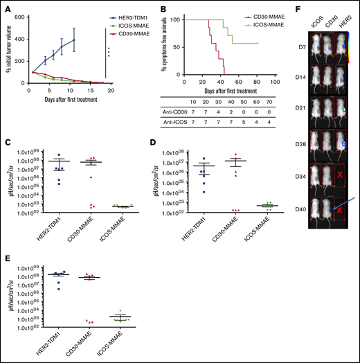 Evaluation of the in vivo efficacy of anti-ICOS-MMAE ADCs in a mouse xenograft model with MyLa cells. (A) Twenty-one mice were engrafted with 8.106 MyLa cells each, which were subcutaneously injected with 200 μL phosphate-buffered saline and no basement membrane matrix. Mice were then randomly assigned to 3 groups and monitored for tumor volume after 2 treatments of anti-HER-2, anti-CD30, or anti-ICOS ADCs administered 4 days apart (days 10 and 14 after engraftment). (B) OS curves (Kaplan-Meier) comparing the effect of anti-ICOS and anti-CD30 ADCs. The difference between the 2 curves is significant (P = .0006). (C-E) Detection of the development of bioluminescent MyLa metastases in 26 mice assigned to 3 groups and treated with anti-HER2, anti-CD30, or anti-ICOS ADCs in lungs (C), spleen (D), and liver (E). (F) Images of living mice scanned with a luminometer following treatment with anti-HER2, anti-CD30, or anti-ICOS ADCs. At day 40, subcutaneous recurrence was detected in the anti-CD30 ADC group (arrow). ***P < .001. D, day.