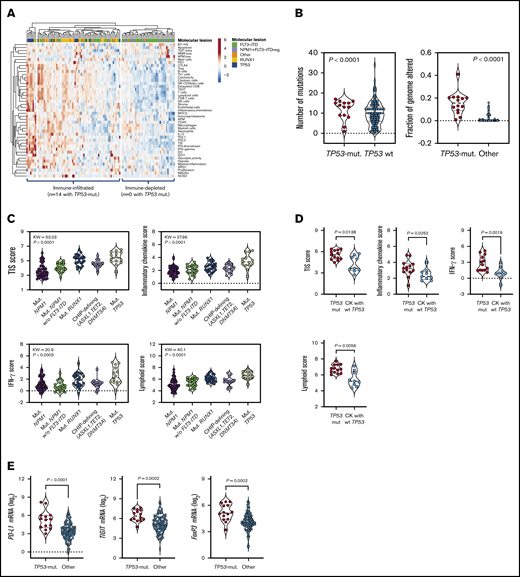 TP53 mutations correlate with an immune-infiltrated TME in TCGA-AML. (A) Heatmap of immune-cell-type–specific scores and biological activity scores in TCGA-AML cases with information on prognostic molecular lesions (n = 118; unsupervised hierarchical clustering; Euclidean distance; complete linkage). ClustVis, an online tool for clustering of multivariate data, was used for data analysis and visualization.47 The optimal number of clusters was defined through silhouette scoring using an open-source machine learning toolkit (Orange3, version 3.25.0). FLT3-ITD, fms-like tyrosine kinase 3 internal tandem duplication; NPM1, nucleophosmin-1. ELN intermediate cases were further subclassified into molecular low-risk cases (NPM1 mutations without FLT3-ITD) and molecular high-risk cases (NPM1 WT with FLT3-ITD).22 (B) Fraction of genome altered in TCGA-AML cases with TP53 mutations (n = 14) and other prognostic molecular lesions (n = 104). Bars denote median values. Data were retrieved through cBioPortal and were compared using the Mann-Whitney U test for unpaired determinations. (C) Box plots showing immune signature scores in TCGA-AML cases with TP53 mutations (n = 14) and other prognostic molecular lesions (n = 19 with NPM1 mutations; n = 22 with RUNX1 mutations; n = 48 with FLT3-ITD without NPM1 mutations; n = 15 with CHIP-defining mutations). Data were compared using the Kruskal-Wallis test for unpaired determinations with Bonferroni’s correction for multiple comparisons. (D) TIS, inflammatory chemokine, IFN-γ, and lymphoid signature scores in TCGA cases with TP53 mutations with (n = 9 cases) or without a CK (n = 13 cases) for whom immune gene signature scores could be computed. Data were compared using the Mann-Whitney U test for unpaired determinations. (E) Expression of FOXP3 and immune checkpoints PD-L1 and TIGIT in TCGA-AML cases with TP53 mutations (n = 14) and other prognostic molecular lesions (n = 104). Bars denote median values. Data were compared using the Mann-Whitney U test for unpaired determinations. ND, not determined.
